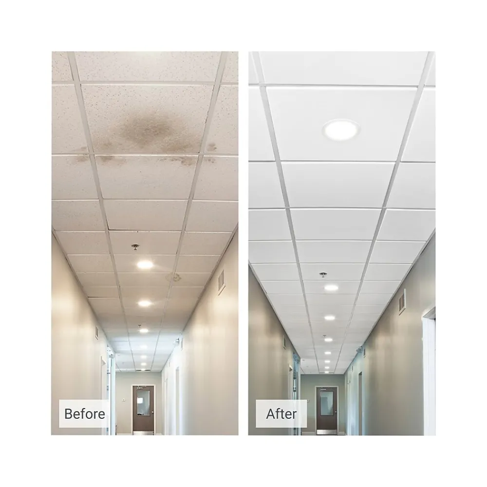 Armstrong ULTIMA Beveled Tegular Edge Ceiling Tile, 24" x 24", White, 12/Carton (BP1912A)