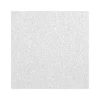 Armstrong ULTIMA Health Zone Beveled Tegular Edge Ceiling Tile, 24" x 24", White, 10/Carton (BP1446)