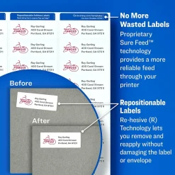 Sale Avery Repositionable Laser Shipping Labels, 2" x 4", White, 1,000 Labels/Box (55163)