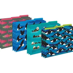 File Folders|Barker Creek Sea & Sky Salmon File Folder, 1/3-Cut Tab, Letter Size, Assorted, 107/Set (147)