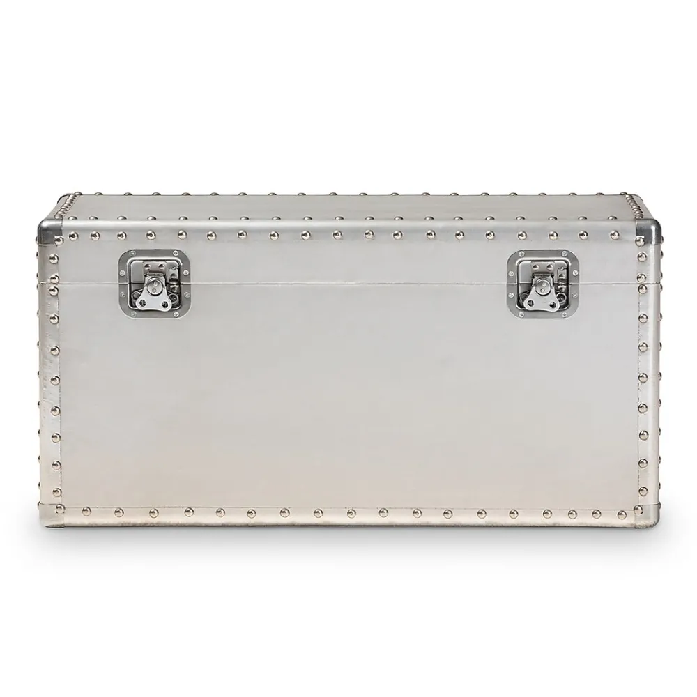 Storage Cabinets*Baxton Studio Serge 13.98" High Storage Trunk, Silver (160-10246-HiT)