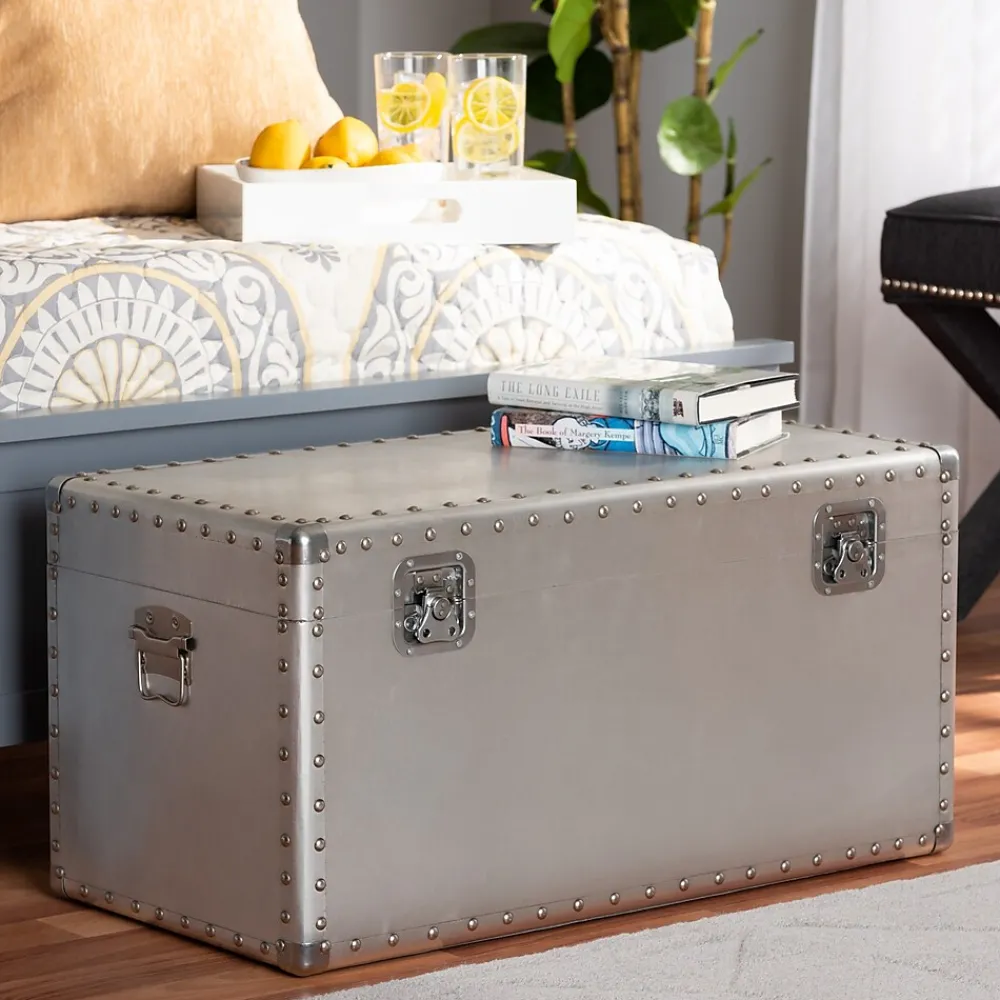 Storage Cabinets*Baxton Studio Serge 13.98" High Storage Trunk, Silver (160-10246-HiT)
