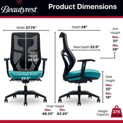 Ergonomic Chairs*Beautyrest Duo-EX Ergonomic Mesh Swivel Computer Chair, (60051-TEL) Teal