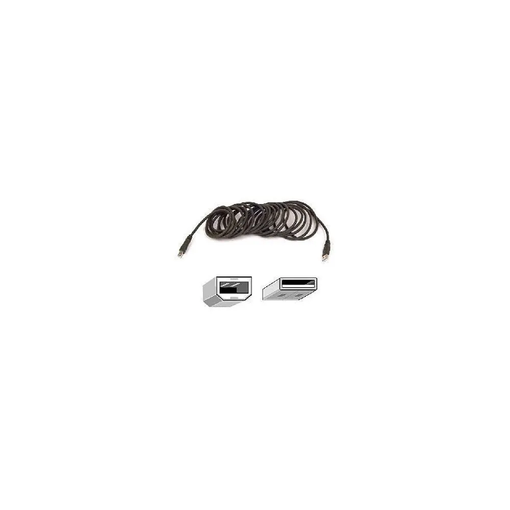 Belkin 10' USB A to USB B Cable, Male to Male, Gray/Silver (F3U133B10)