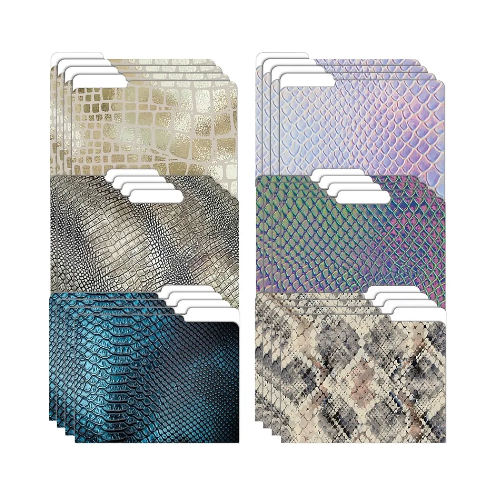 File Folders|Better Office Snakeskin Heavyweight File Folders, 1/3-Cut Tab, Letter Size, Assorted Colors, 24/Pack (80022-24PK)