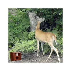 Bird-X Deer Gard Deterrent for Deer
