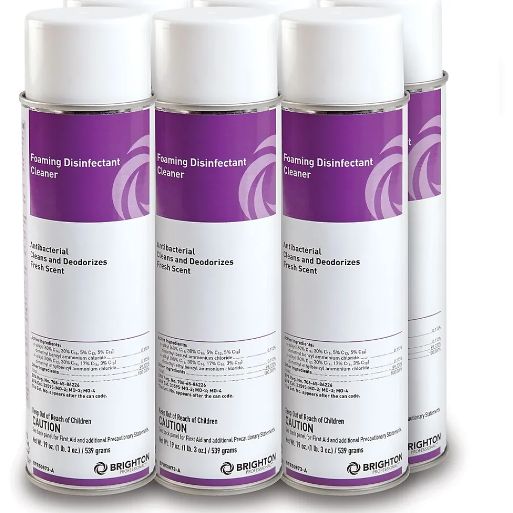 ™ Foaming Disinfectant Cleaner, 19 Oz., 6 Cans/PK<Brighton Professional Discount