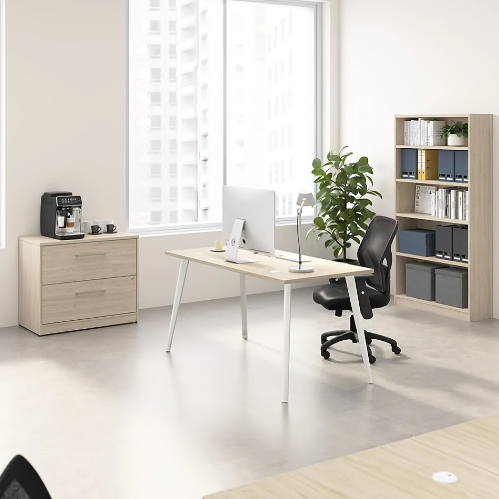 File Cabinets*Bush Business Furniture Vista 2 Drawer File Cabinet, Natural Elm (VSF136NESU)