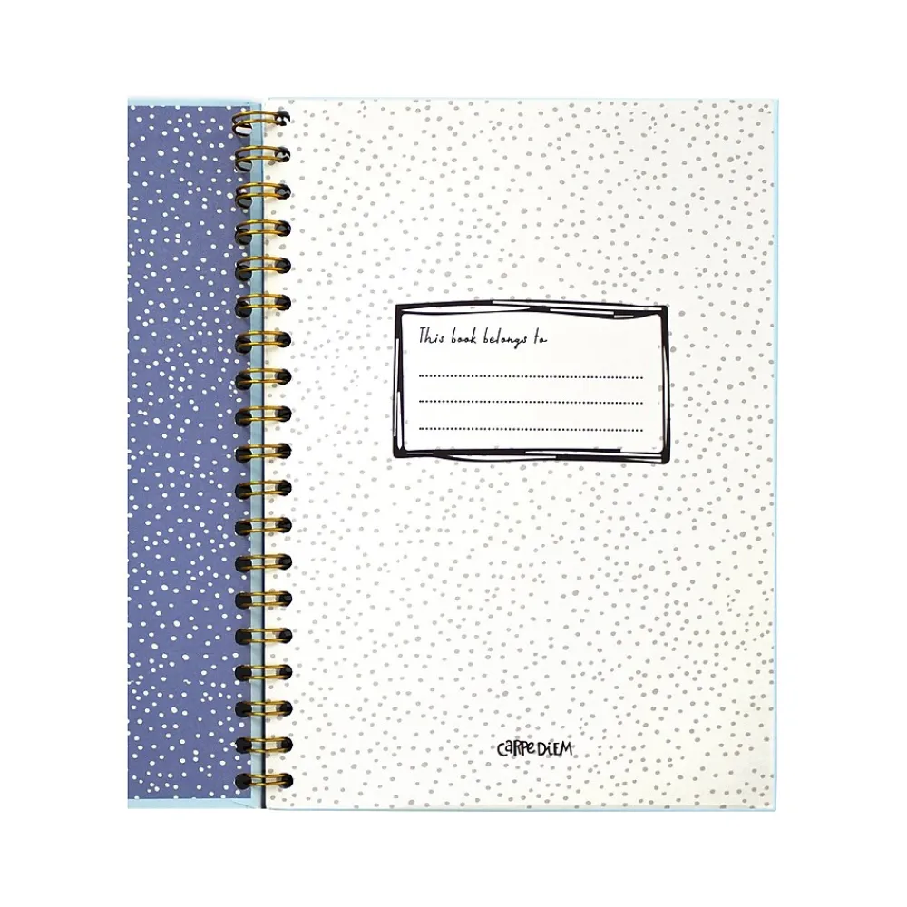 Subject Notebooks|Carpe Diem Feathers 1-Subject Notebook, 7.5" x 9.75", Wide-Ruled, 80 Sheets, Multicolor (9379-CD)