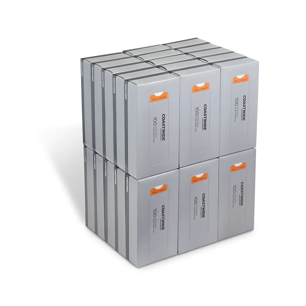 ™ Facial Tissue, 2-Ply, 100 Sheets/Box, 30 Boxes/Carton (CW57777)<Coastwide Professional New