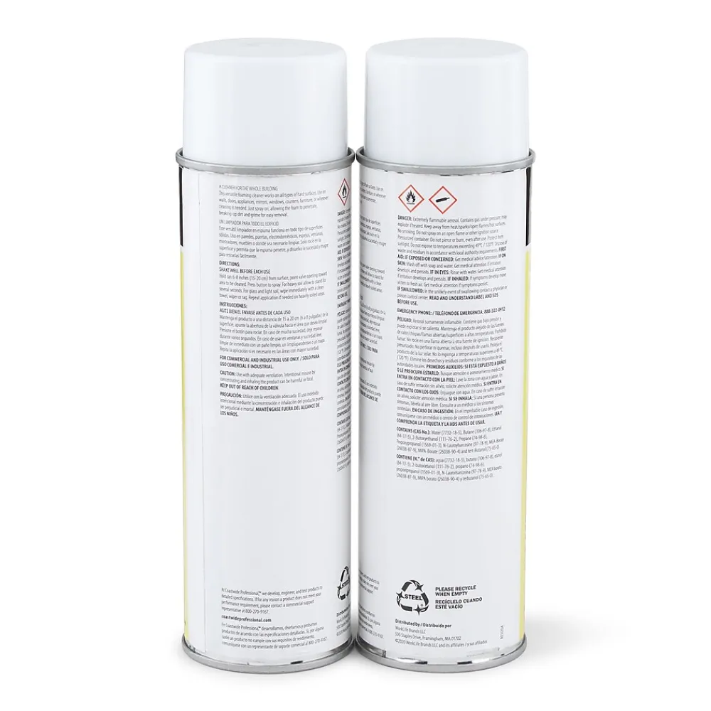 ™ General-Purpose Cleaner, 19 Oz., 6/Carton (CW58495-A)<Coastwide Professional
