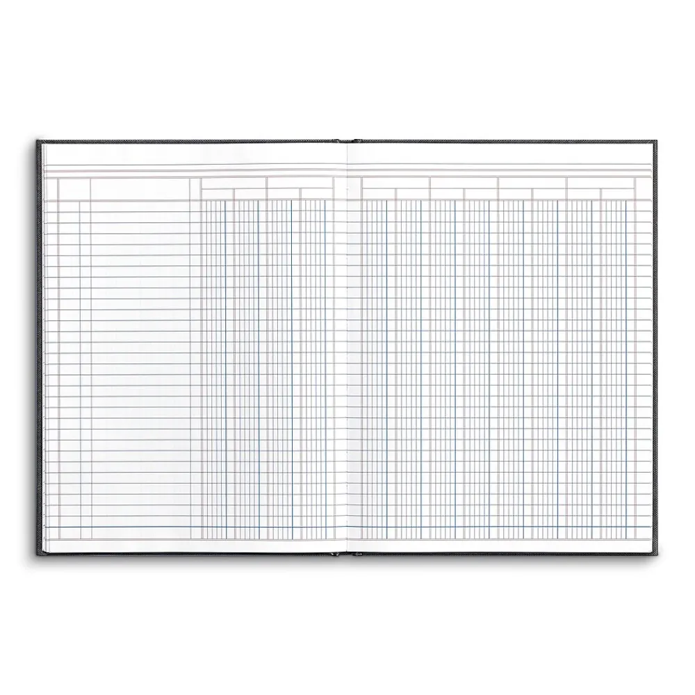 Accounting & Record Journals*Quill Brand Columnar Book, 12-Columns, 7.25" x 9.5", Blue Marble, 40 Sheets/Book (217976ABF)