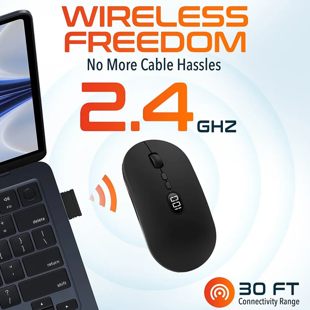 Clearance Delton S16 Wireless Ambidextrous Optical 2.4 GHz Mouse, Black (DMS16-WR)