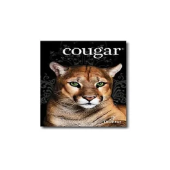 Card Stock*Domtar Cougar Digital 10% Recycled 8.5" x 11" Paper, 80 lbs., 98 Brightness, 250/Ream, 8 Reams/Carton (2986)