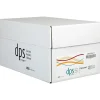 Copy Paper*Diversity Products Solutions by Staples DPS by Staples 8.5" x 11" 3-Hole Punched Copy Paper, 20 lbs., 92 Brightness,10 Reams/Carton (DPS08511P)
