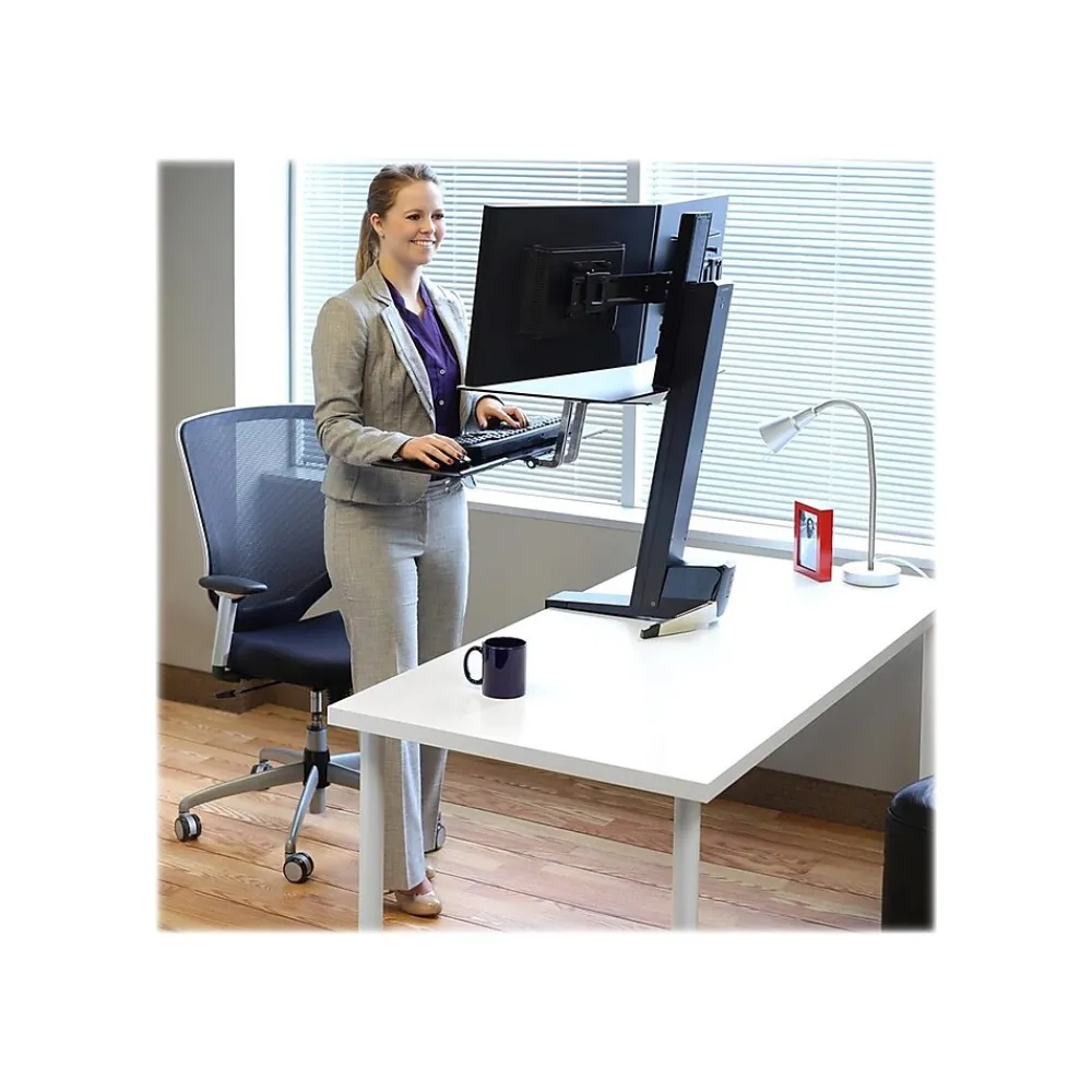 Discount Ergotron WorkFit-S Dual Monitor Stand, Up to 24" Monitors, Black (33-349-200)
