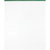 Easel Paper Pads*Evidence Easel Pad, 27" x 34", Lined, 50 Sheets/Pad, 2 Pads/Carton (24-034R)