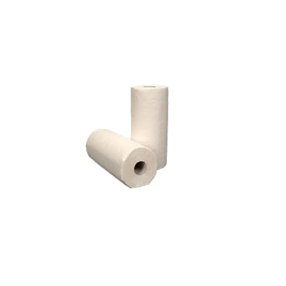 Evolution Paper Towels, 2-ply, 250 Sheets/Roll, 12 Rolls/Pack (PRO00495)