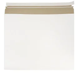 Outlet JAM Paper Expandable Photo Mailer Envelopes with Self-Adhesive Closure, 17 x 14 x 1, White, Sold Individually (48906708)