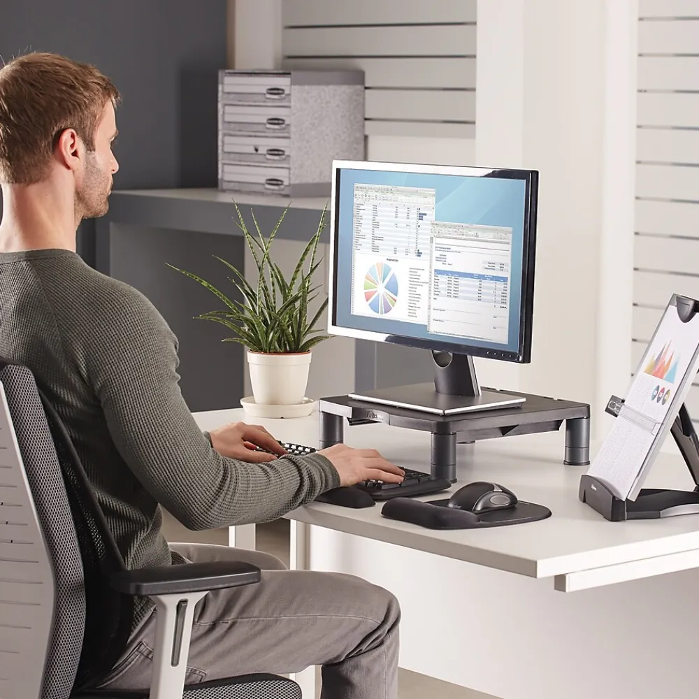 Outlet Fellowes Standard Adjustable Monitor Riser, Up to 42", Graphite (9169301)
