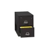File Cabinets*FireKing 1-Hour Fire Resistant Vertical Cabinet, Letter, 2-Drawer, Black, 27 3/4"H x 17 3/4"W x 31 9/16"D, Truck to Loading Dock