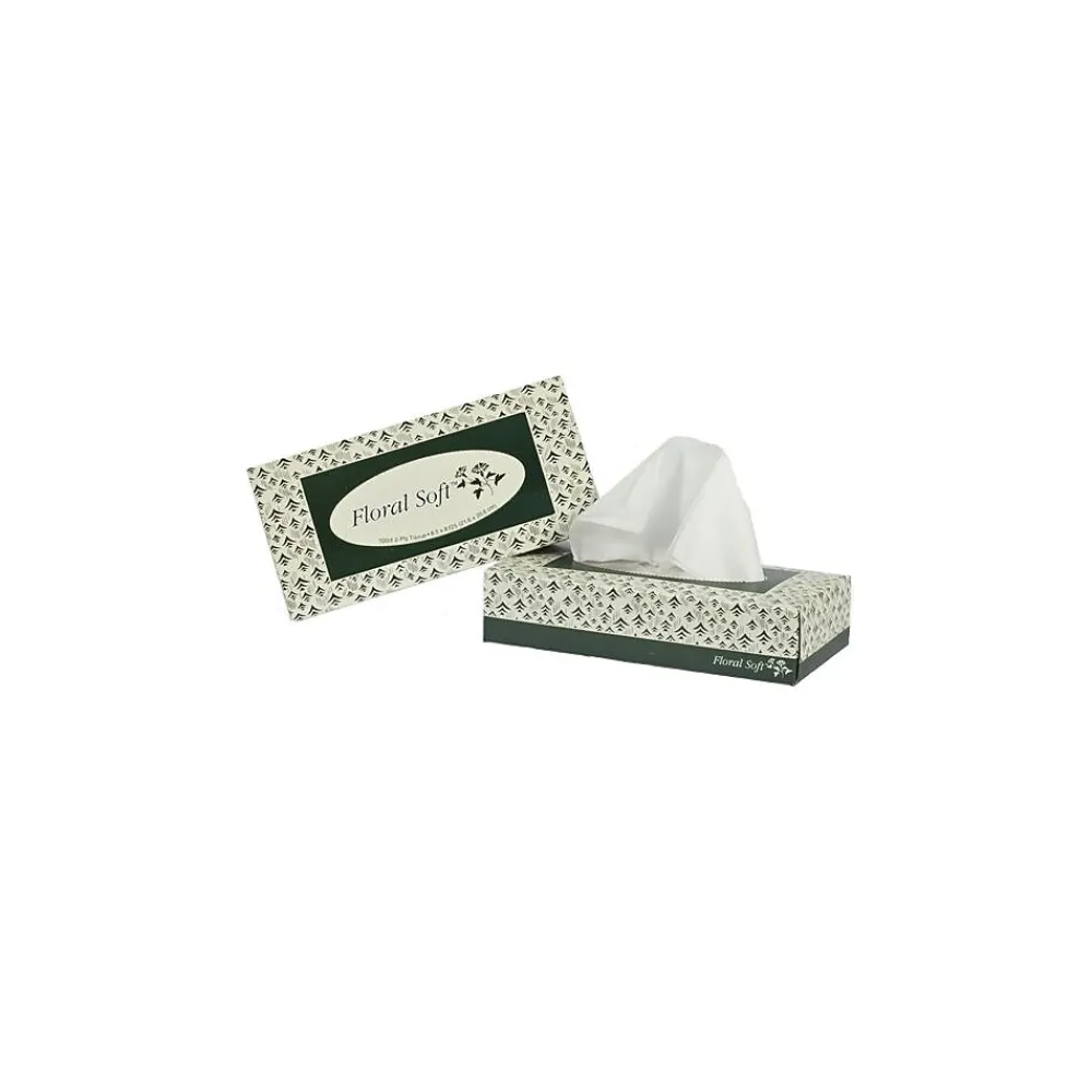 Facial Tissue, 2-ply, 100 Tissues/Box, 30 Boxes/Pack (F100)<Floral Soft Best