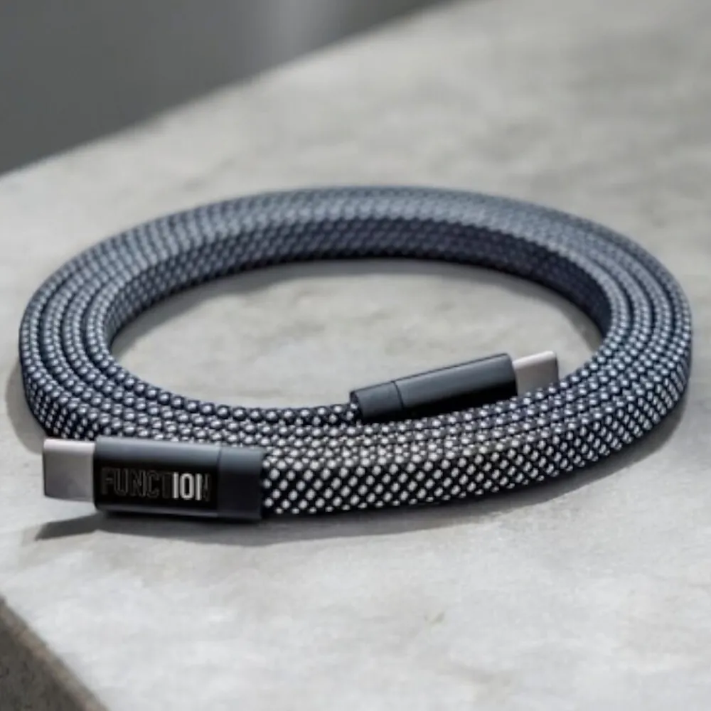NEAT CABLE Magnetic USB-C Charging Cable, 4.9 ft., Silver (F101-LCSI5)<Function101 New