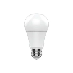 GE 5.5 Watt Soft White LED neral-Purpose Bulb, 2/Pack (93131319)