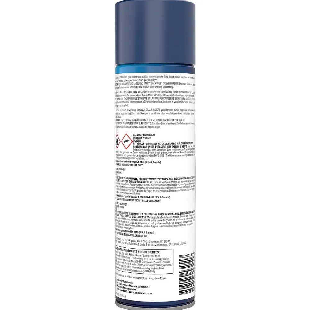 Powerized Professional Glass Cleaner, 19 Oz (904553)<Glance Best
