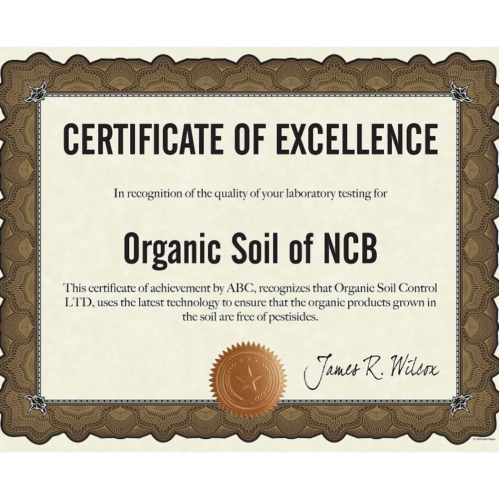 Awards & Certificates*Great Papers Cambridge Certificates, 8.5" x 11", Beige/Gold, 10/Pack (2020004)