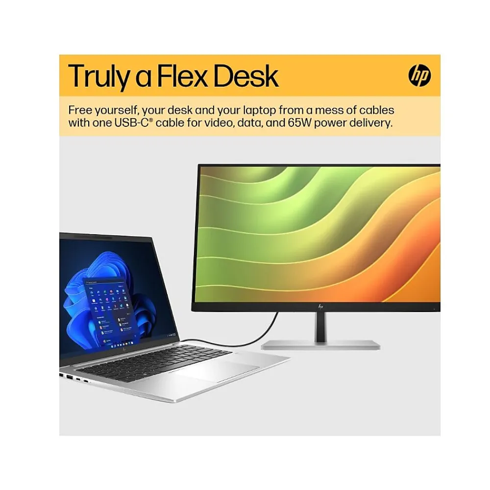 HP 24" 75 Hz LCD Monitor (6N4D0AA#ABA)