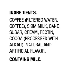 International Delight Iced Mocha Coffee, 15 fl. oz., 12/Carton (745190/177176)