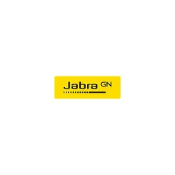 jabra 4' USB C Male/C Male, Black (14208-32)