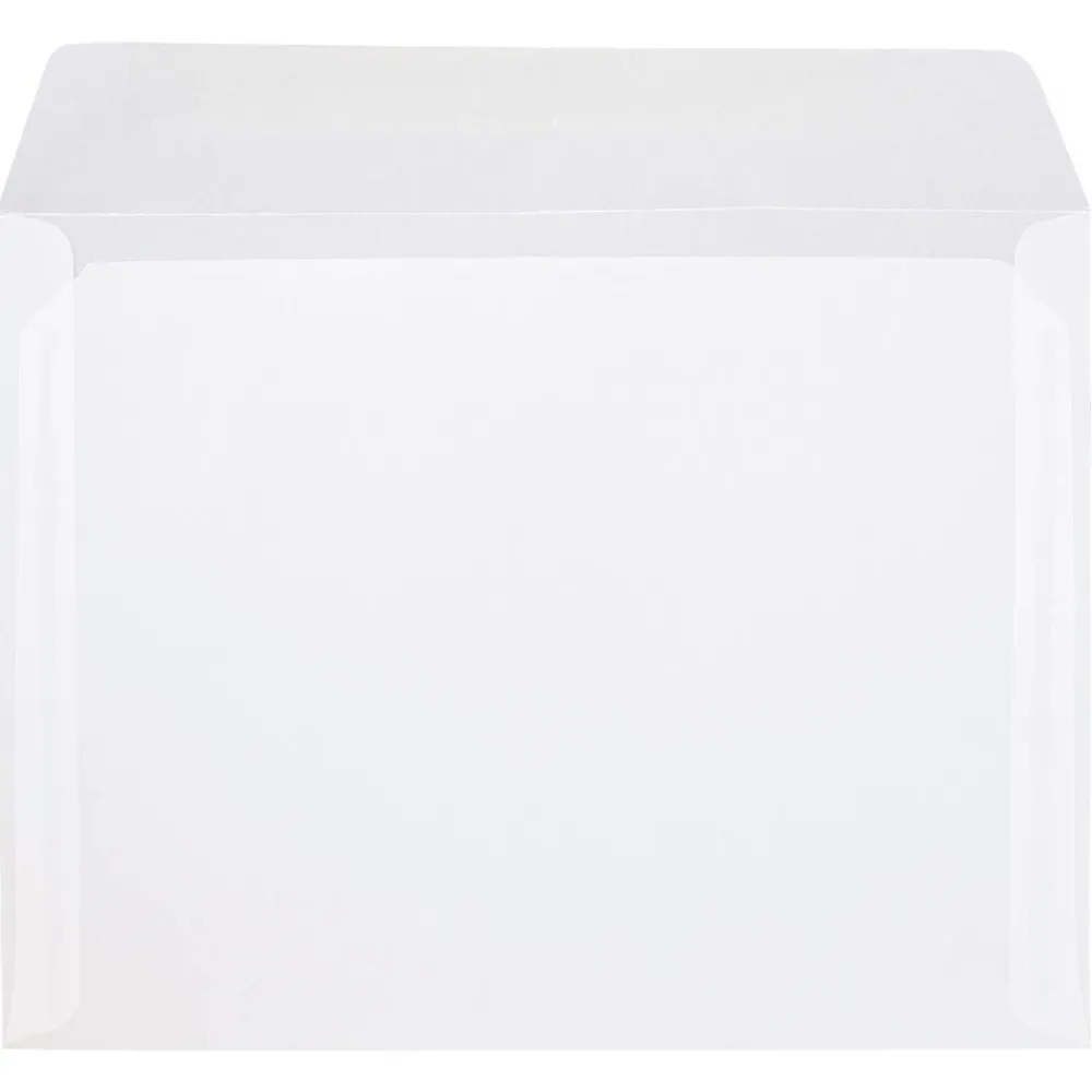 Clearance JAM Paper 10" x 13" Booklet Translucent Vellum Envelopes, Clear, 10/Pack (900840420D)