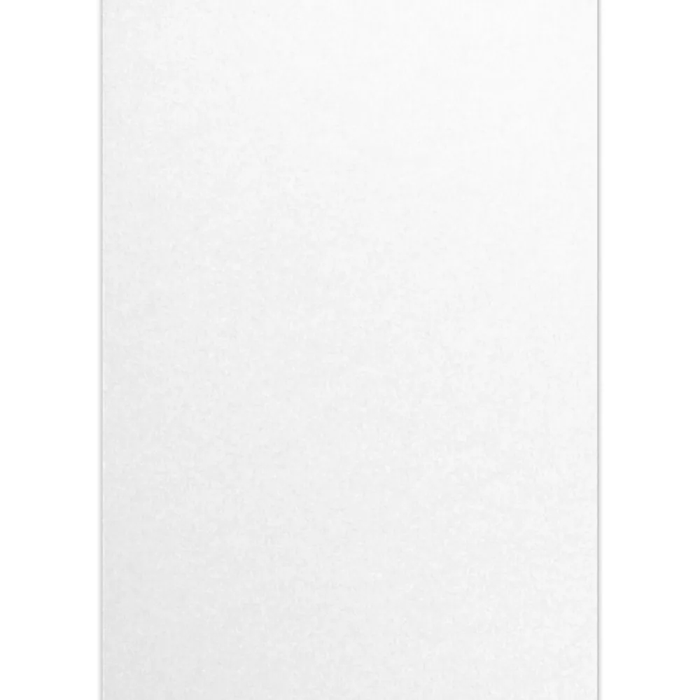 Card Stock*JAM Paper 13" x 19" Cardstock, Crystal Metallic, 50/pack (1319-C-M30-50)