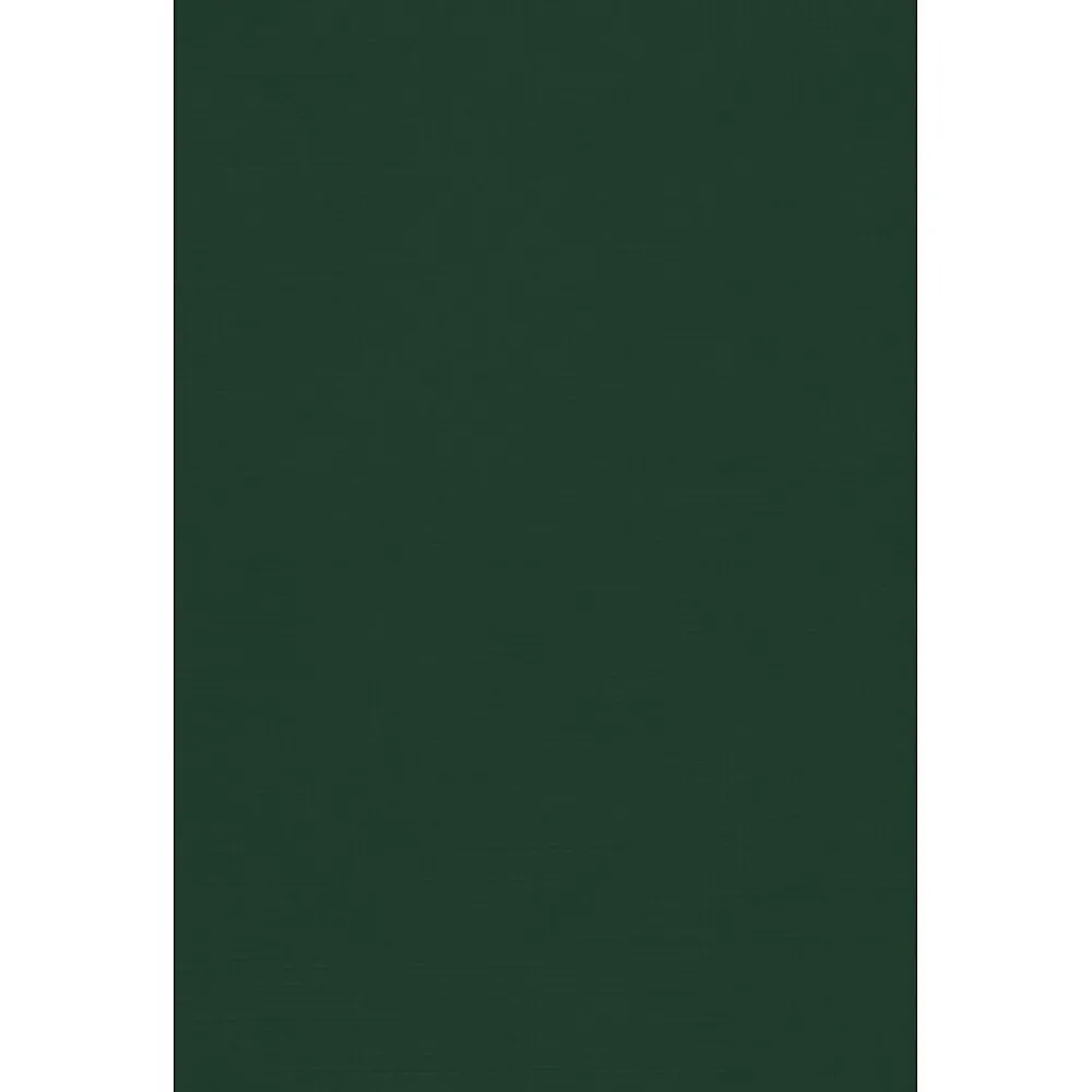 Card Stock*JAM Paper 11" x 17" Cardstock, 100lb, Green Linen, 50/pack (1117-C-GNLI-50)