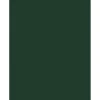 Card Stock*JAM Paper 8.5" x 11" Color Cardstock, Green Linen, 50/pack (81211-C-GNLI-50)