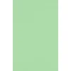 Multipurpose Paper*JAM Paper 11" x 17" Multipurpose Paper, 60 lbs., Pastel Green, 50/Pack (1117-P-67-50)