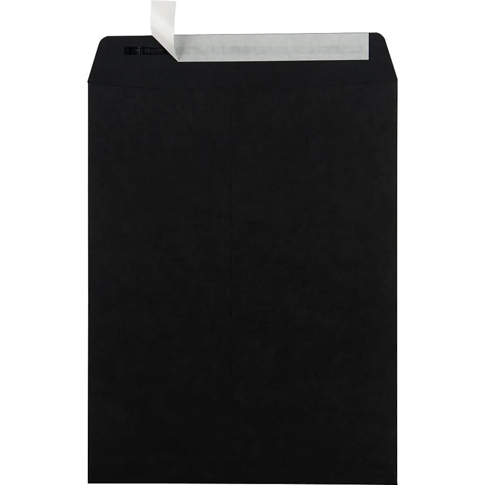 Clearance JAM Paper 10" x 13" Open End Catalog Envelopes, Black, 25/Pack (87733a)