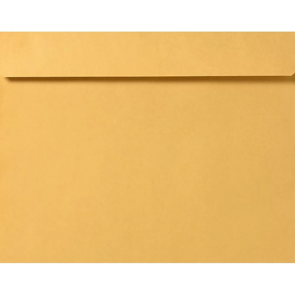 Hot JAM Paper Booklet Envelope 10" x 13", Brown Kraft, 50/Pack (16162-50)