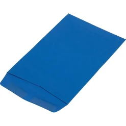 New JAM Paper Catalog Envelope 6