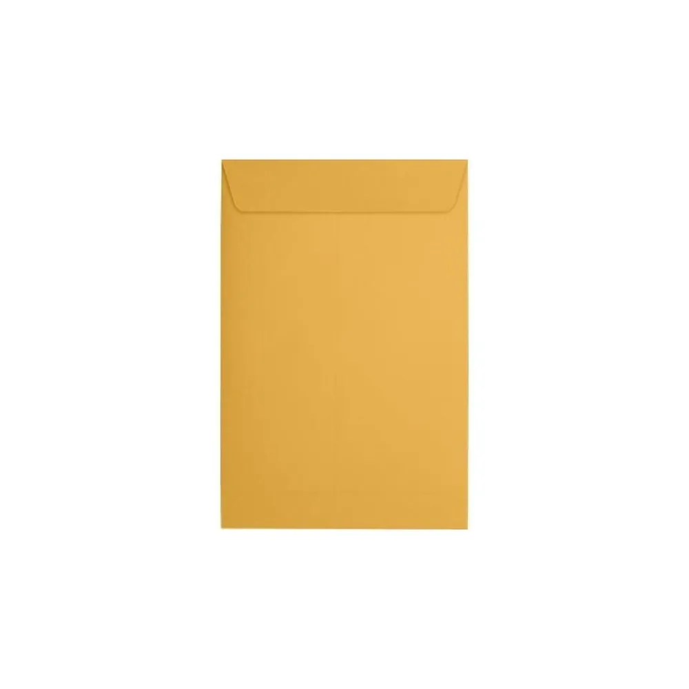 Best JAM Paper Catalog Envelope 6" x 9", Brown Kraft, 50/Pack (1693-50)