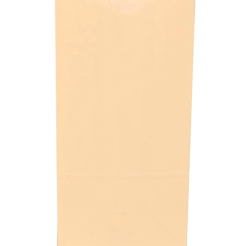 Lunch Totes & Water Bottles|JAM Paper Kraft Lunch Bags, Medium, 5" x 9.75" x 3", Ivory Kraft, Bulk 500 Bags/Box (691KRIVB)