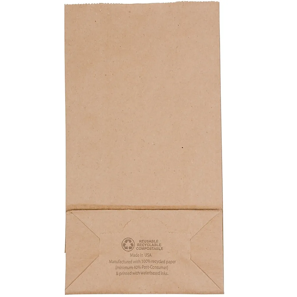 JAM Paper Kraft Lunch Bags, Brown, 25/Pack (690KRBR)