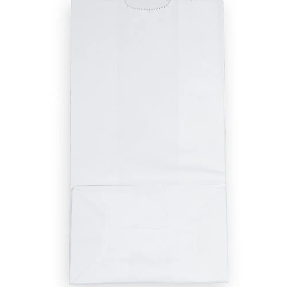 JAM Paper Kraft Lunch Bags, Large, 6" x 11" x 3.5", White, 25/Pack (692KRWH)