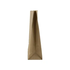 Lunch Totes & Water Bottles|JAM Paper Kraft Lunch Bags, 8