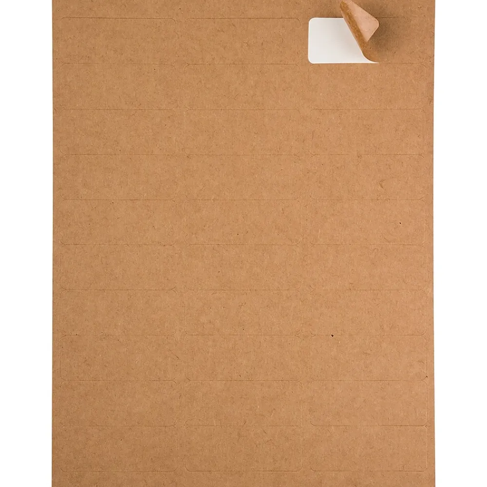Best JAM Paper Laser/Inkjet Address Labels, 1" x 2 5/8", , 30 Labels/Sheet, 4 Sheets/Pack (4513701) Brown Kraft