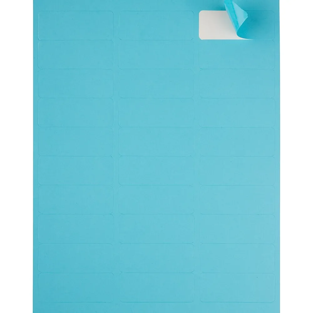 Best JAM Paper Laser/Inkjet Mailing Address Labels, 1" x 2 5/8", , 120 Labels/Pack (302725762) Blue