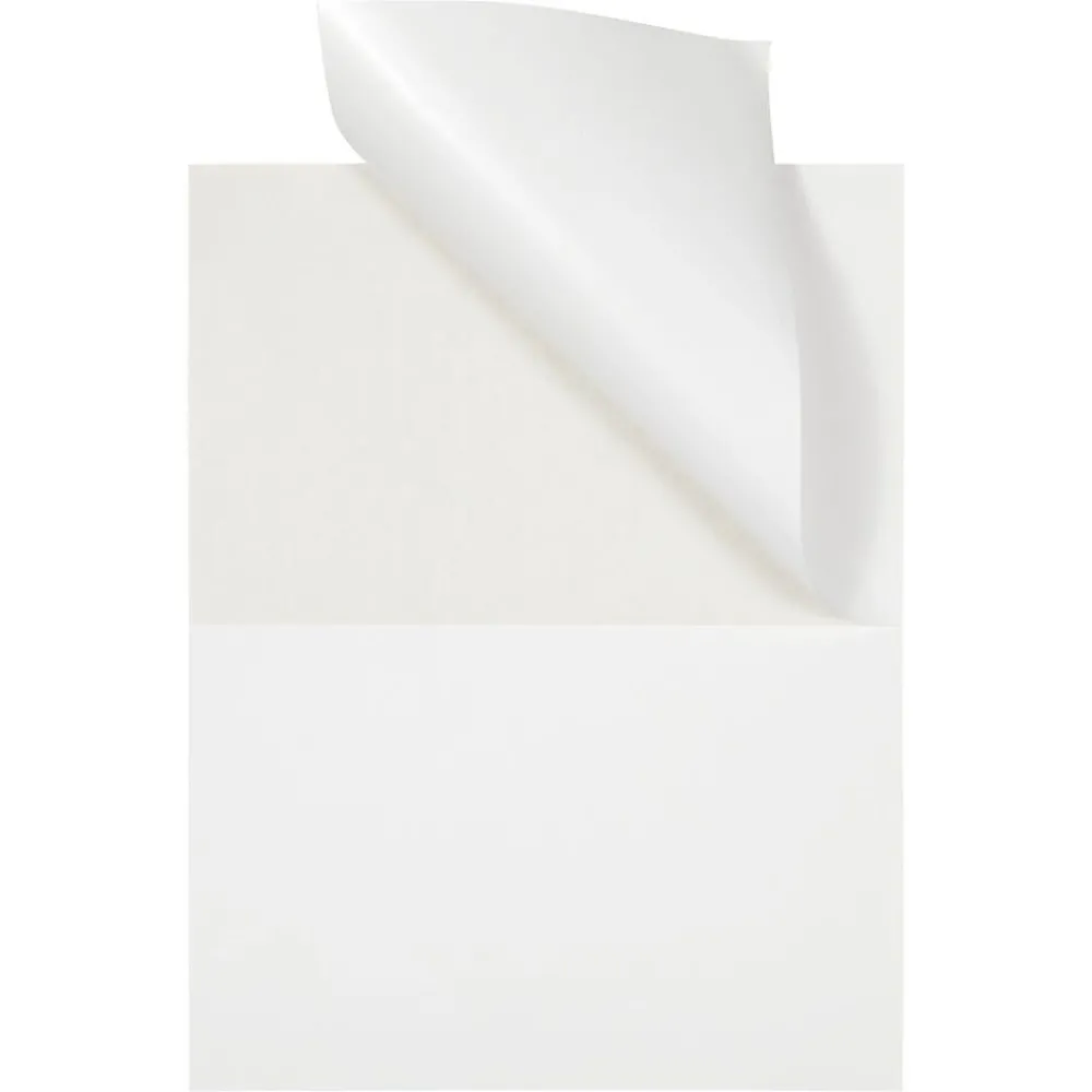 Online JAM Paper Laser/Inkjet Shipping Labels, 5 1/2" x 8 1/2", White, 2 Labels/Sheet, 25 Sheets/Pack (359430339)