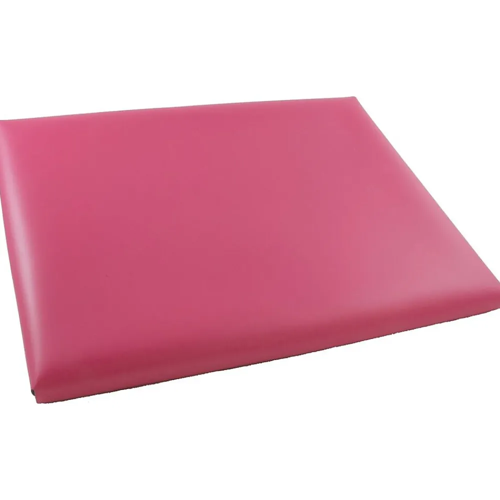 Leather Portfolio Case with Snap Closure, Pink, 12/Carton (2233320839B)<JAM Paper Hot